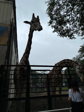 宇都宮動物園に投稿された画像（2024/6/30）