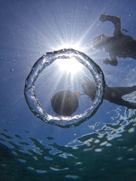 沖縄マリンサービス碧に投稿された画像（2024/6/30）