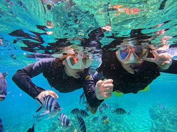 沖縄マリンサービス碧に投稿された画像（2024/6/30）