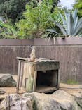 伊豆シャボテン動物公園に投稿された画像（2024/6/30）