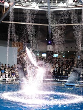 マクセル アクアパーク品川に投稿された画像（2024/6/30）