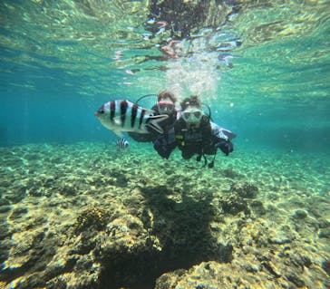 沖縄マリンサービス碧に投稿された画像（2024/6/30）