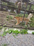 宇都宮動物園に投稿された画像（2024/6/30）