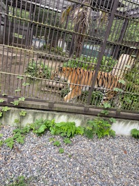 宇都宮動物園に投稿された画像（2024/6/30）
