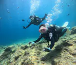 武藤潜水に投稿された画像（2024/6/30）