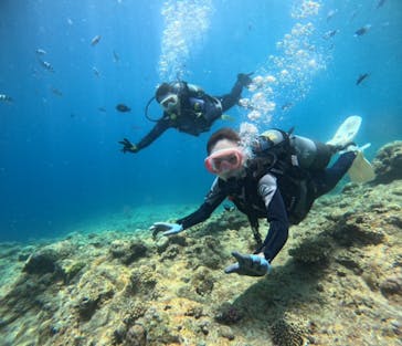 武藤潜水に投稿された画像（2024/6/30）