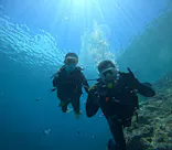 武藤潜水に投稿された画像（2024/6/30）