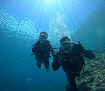 武藤潜水に投稿された画像（2024/6/30）