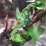 NIFREL（ニフレル）に投稿された画像（2024/6/30）