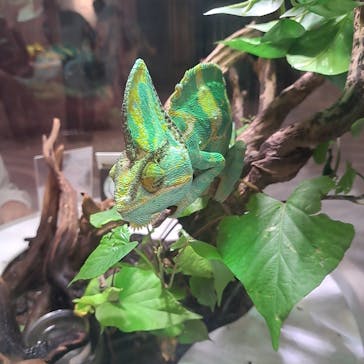 NIFREL（ニフレル）に投稿された画像（2024/6/30）