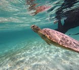 nico 宮古島に投稿された画像（2024/6/30）