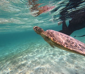 nico 宮古島に投稿された画像（2024/6/30）