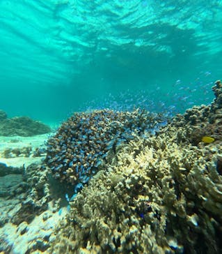 nico 宮古島に投稿された画像（2024/6/30）