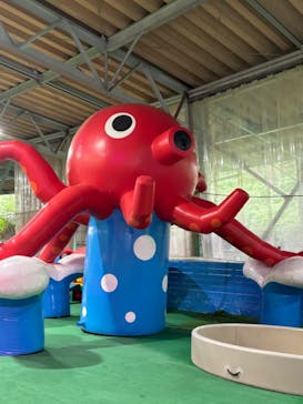 狭山スキー場に投稿された画像（2024/6/30）