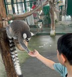 岩手サファリパークに投稿された画像（2024/6/30）