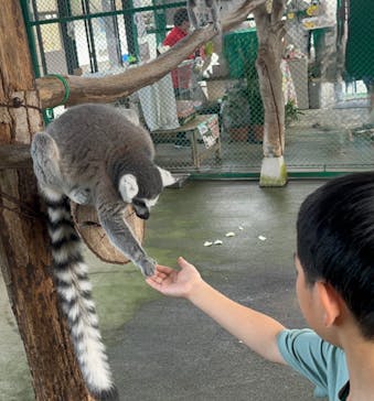 岩手サファリパークに投稿された画像（2024/6/30）