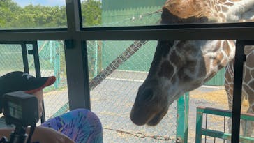 岩手サファリパークに投稿された画像（2024/6/30）