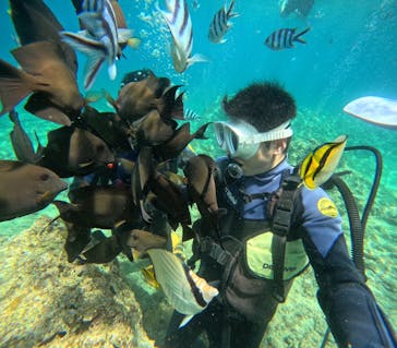 沖縄マリンサービス碧に投稿された画像（2024/6/30）