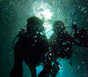 沖縄マリンサービス碧に投稿された画像（2024/6/30）