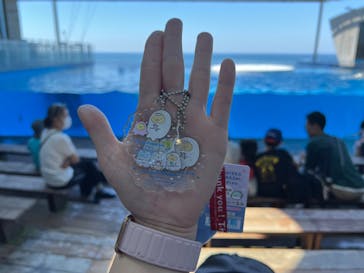 上越市立水族博物館 うみがたりに投稿された画像（2024/6/29）