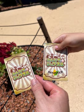 日本モンキーパークに投稿された画像（2024/6/30）