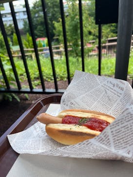 日本モンキーパークに投稿された画像（2024/6/30）