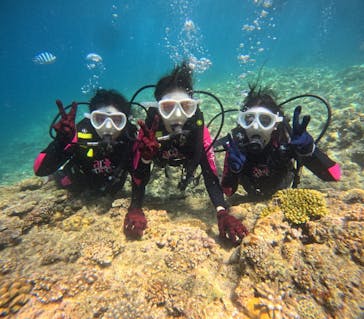 沖縄マリンサービス碧に投稿された画像（2024/6/30）