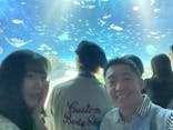 サンシャイン水族館に投稿された画像（2024/6/30）