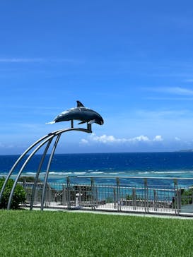 沖縄美ら海水族館に投稿された画像（2024/6/30）