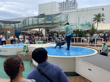 サンシャイン水族館に投稿された画像（2024/6/30）