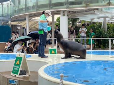 サンシャイン水族館に投稿された画像（2024/6/30）