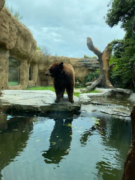 神戸どうぶつ王国に投稿された画像（2024/6/30）