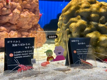 NIFREL（ニフレル）に投稿された画像（2024/6/30）