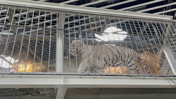 NIFREL（ニフレル）に投稿された画像（2024/6/30）