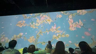 Immersive Museum OSAKA 2025に投稿された画像（2024/6/30）