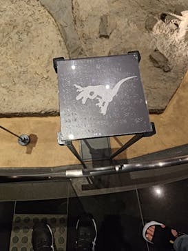 福井県立恐竜博物館に投稿された画像（2024/6/30）