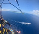 Sea World（シーワールド）に投稿された画像（2024/6/30）