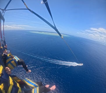 Sea World（シーワールド）に投稿された画像（2024/6/30）