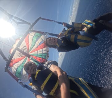 Sea World（シーワールド）に投稿された画像（2024/6/30）