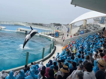 鴨川シーワールドに投稿された画像（2024/6/30）