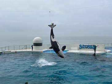 鴨川シーワールドに投稿された画像（2024/6/30）