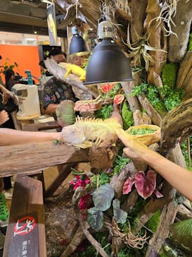 NARA KINGYO MUSEUMに投稿された画像（2024/6/30）