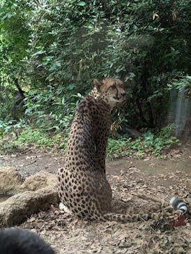 よこはま動物園ズーラシアに投稿された画像（2024/6/30）