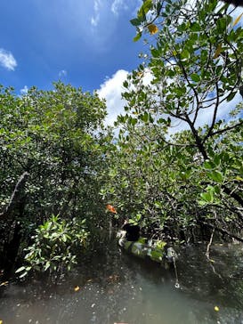 西表島 ADVENTURE PiPi（アドベンチャーピピ）に投稿された画像（2024/6/30）