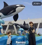 鴨川シーワールドに投稿された画像（2024/6/30）