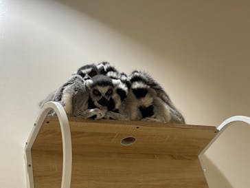 アニタッチららぽーと名古屋みなとアクルスに投稿された画像（2024/6/30）