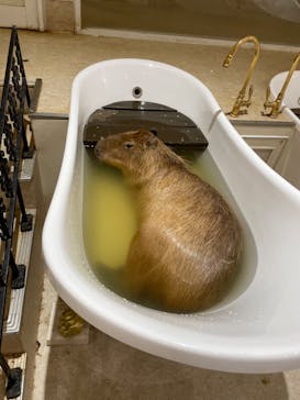 アニタッチららぽーと名古屋みなとアクルスに投稿された画像（2024/6/30）