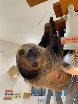 アニタッチららぽーと名古屋みなとアクルスに投稿された画像（2024/6/30）