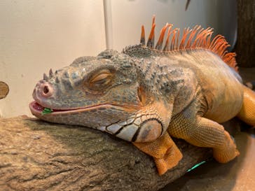 アニタッチららぽーと名古屋みなとアクルスに投稿された画像（2024/6/30）