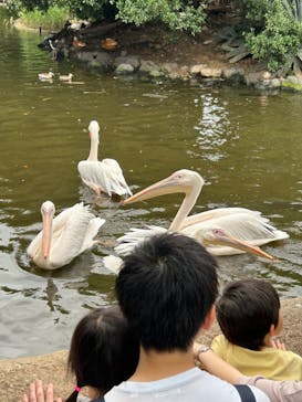 神戸どうぶつ王国に投稿された画像（2024/6/30）